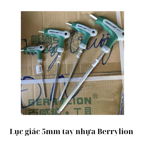 Lục giác 5mm tay nhựa Berrylion