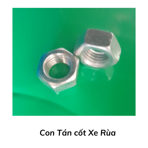 Con Tán cốt Xe Rùa