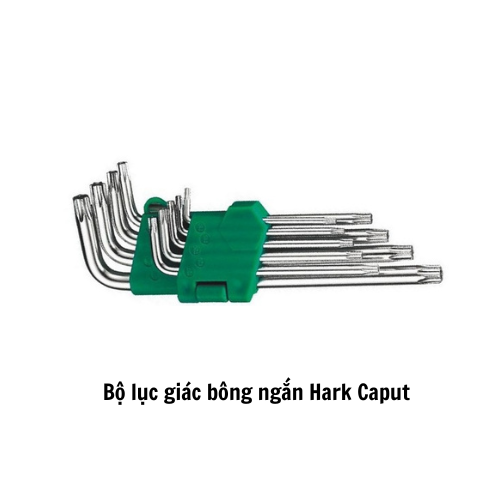 Bộ lục giác bông ngắn Hark Caput