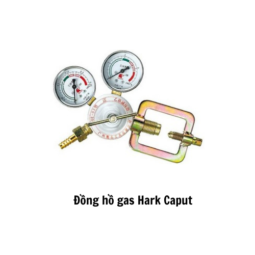 Đồng hồ gas Hark Caput