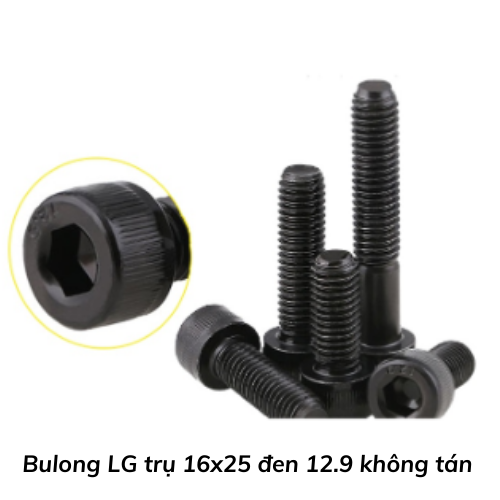 Bulong LG trụ 16x25 đen 12.9 không tán