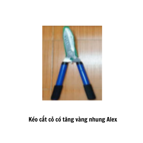 Kéo cắt cỏ có tăng vàng  nhung Alex