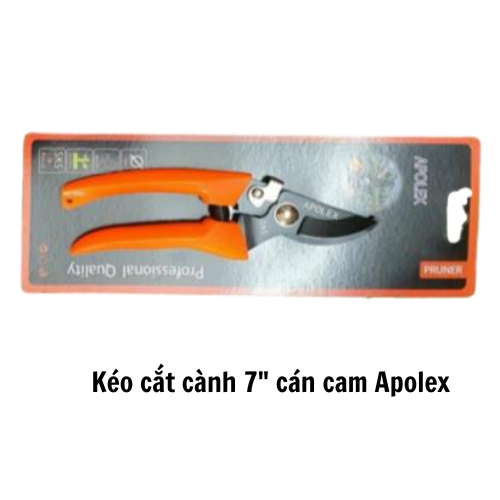 Kéo cắt cành 7" cán cam Apolex