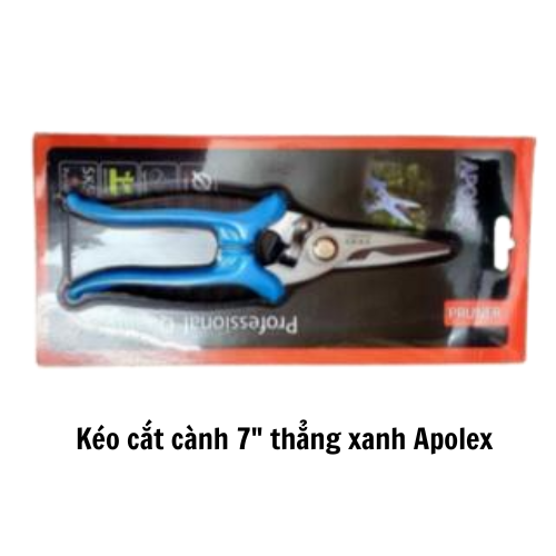 Kéo cắt cành 7" thẳng xanh Apolex