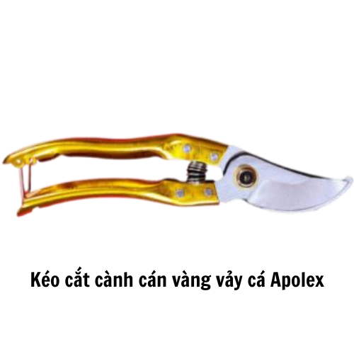 Kéo cắt cành cán vàng vảy cá Apolex