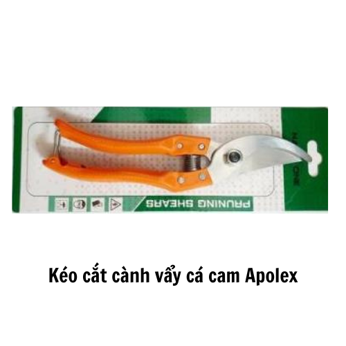 Kéo cắt cành vẩy cá cam Apolex