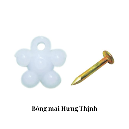 Bông mai Hưng Thịnh