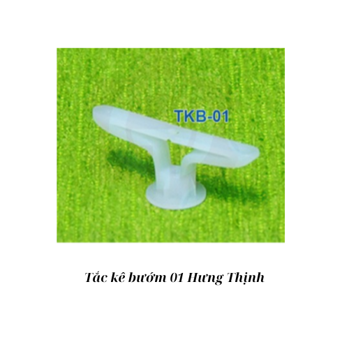 Tắc kê bướm 01 Hưng Thịnh