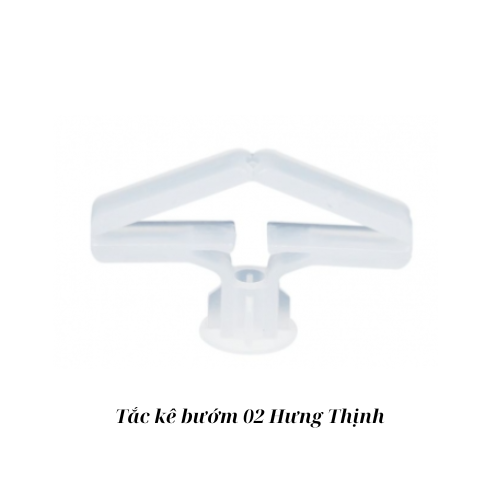 Tắc kê bướm 02 Hưng Thịnh