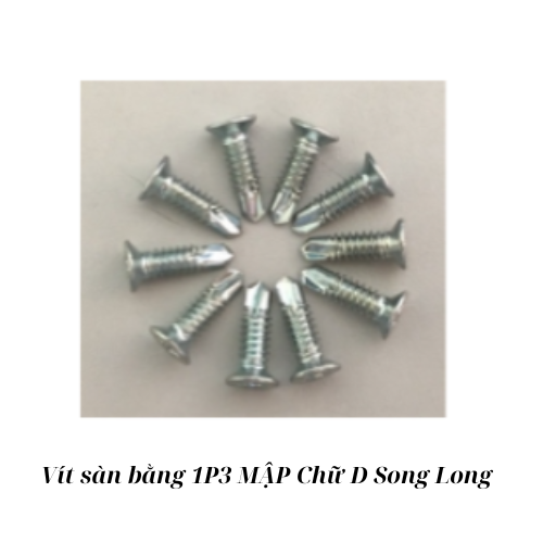 Vít sàn bằng 1P3 MẬP Chữ D Song Long