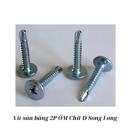 Vít sàn bằng 2P ỐM Chữ D Song Long