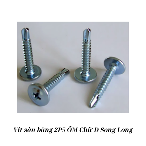 Vít sàn bằng 2P5 ỐM Chữ D Song Long