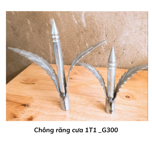 Chông răng cưa 1T1 _G300