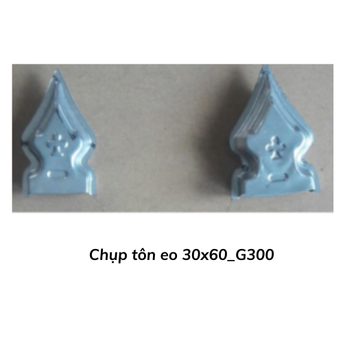 Chụp tôn eo 30x60_G300