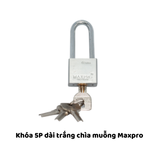 Khóa 5P dài trắng chìa muỗng Maxpro