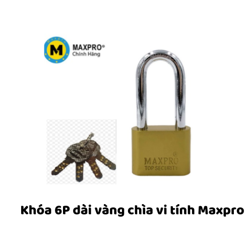 Khóa 6P dài vàng chìa vi tính Maxpro