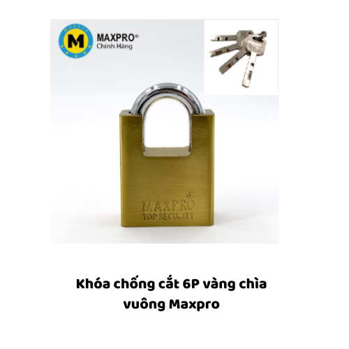 Khóa chống cắt 6P vàng chìa vuông  Maxpro