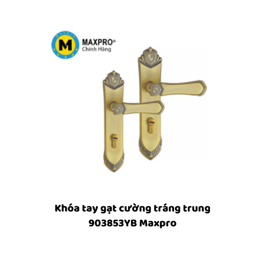 Khóa tay gạt cường tráng trung 903853YB Maxpro