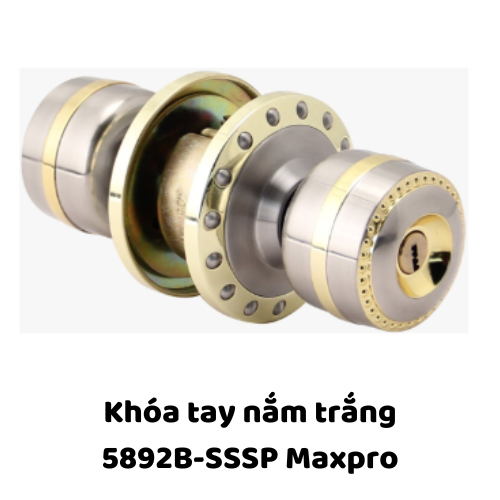 Khóa tay nắm trắng 5892B-SSSP Maxpro