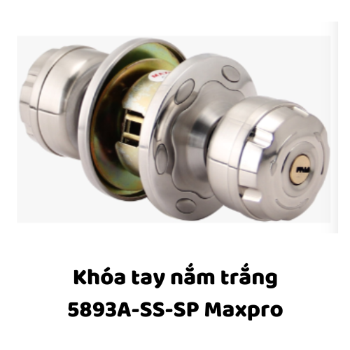 Khóa tay nắm trắng 5893A-SS-SP Maxpro