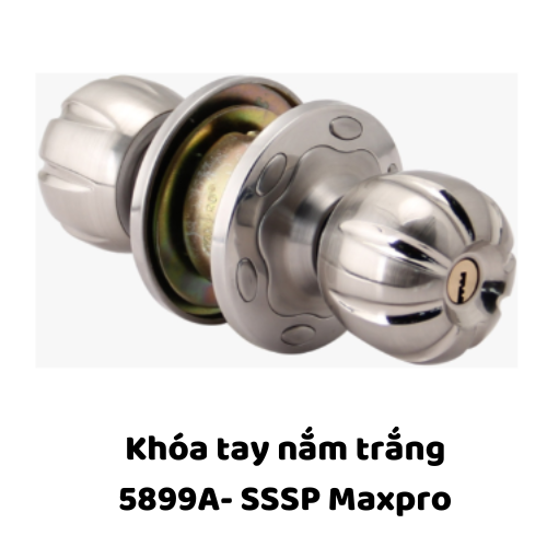 Khóa tay nắm trắng 5899A- SSSP Maxpro