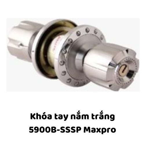 Khóa tay nắm trắng 5900B-SSSP Maxpro