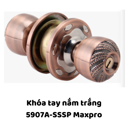 Khóa tay nắm trắng 5907A-SSSP Maxpro