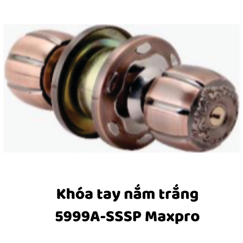 Khóa tay nắm trắng 5999A-SSSP Maxpro