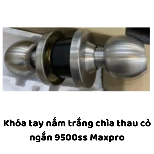 Khóa tay nắm trắng chìa thau cò ngắn 9500ss Maxpro