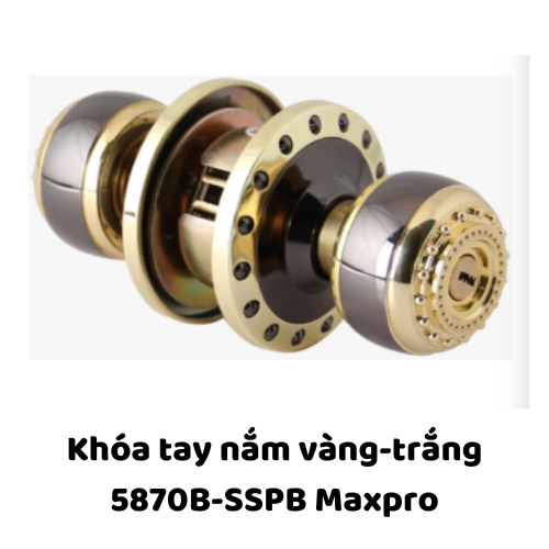 Khóa tay nắm vàng-trắng 5870B-SSPB Maxpro