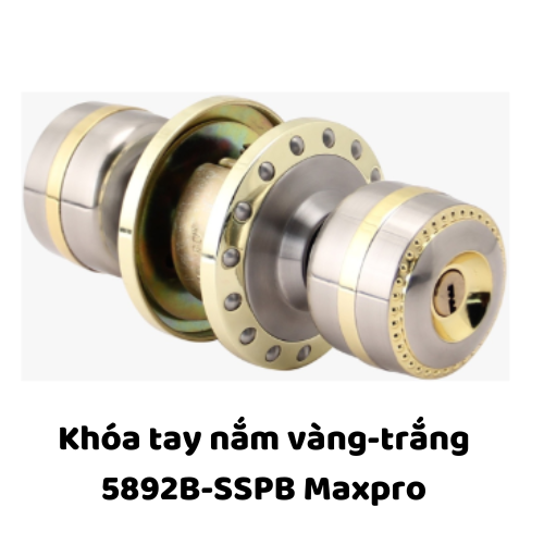 Khóa tay nắm vàng-trắng 5892B-SSPB Maxpro