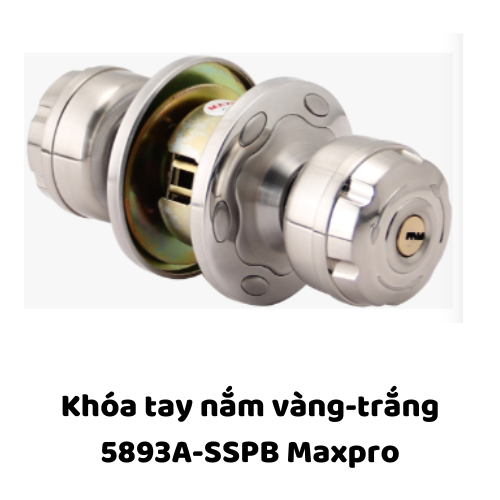 Khóa tay nắm vàng-trắng 5893A-SSPB Maxpro