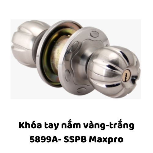 Khóa tay nắm vàng-trắng 5899A- SSPB Maxpro