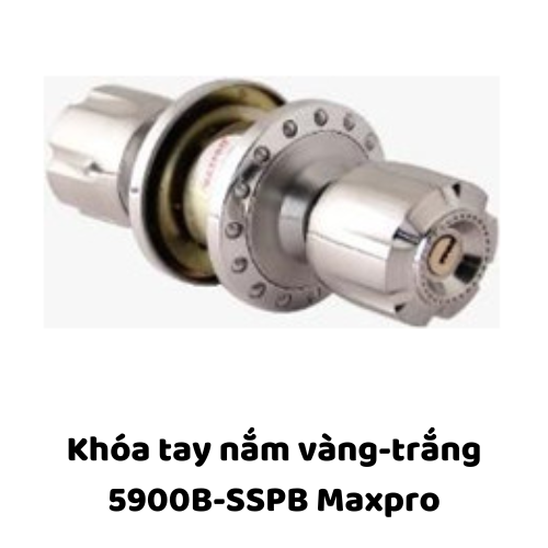 Khóa tay nắm vàng-trắng 5900B-SSPB Maxpro