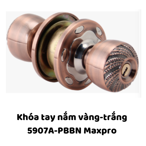 Khóa tay nắm vàng-trắng 5907A-PBBN Maxpro