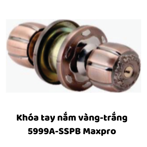 Khóa tay nắm vàng-trắng 5999A-SSPB Maxpro