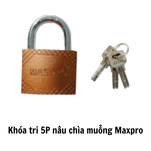 Khóa tri 5P nâu chìa muỗng Maxpro