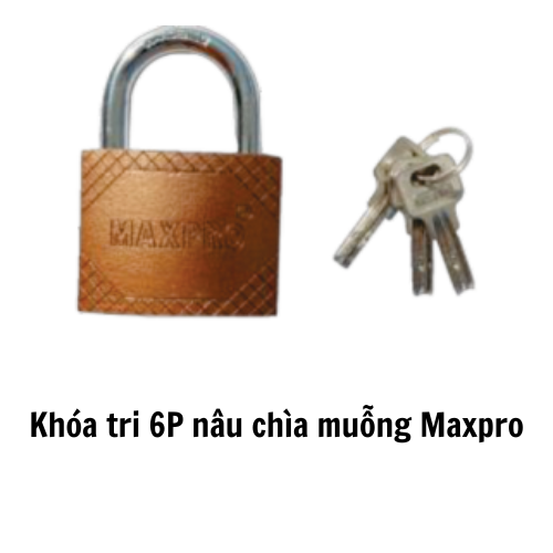 Khóa tri 6P nâu chìa muỗng Maxpro