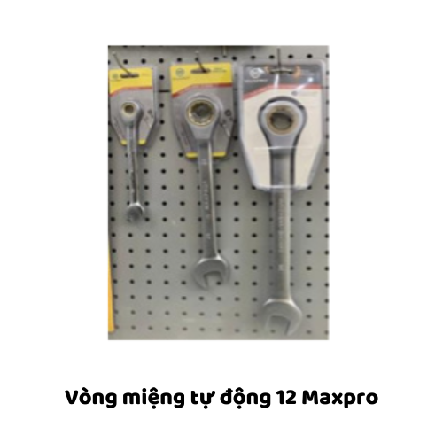 Vòng miệng tự động 12 Maxpro