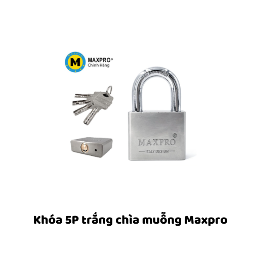 Khóa 5P trắng chìa muỗng Maxpro