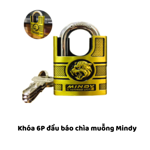 Khóa 6P đầu báo chìa muỗng Mindy