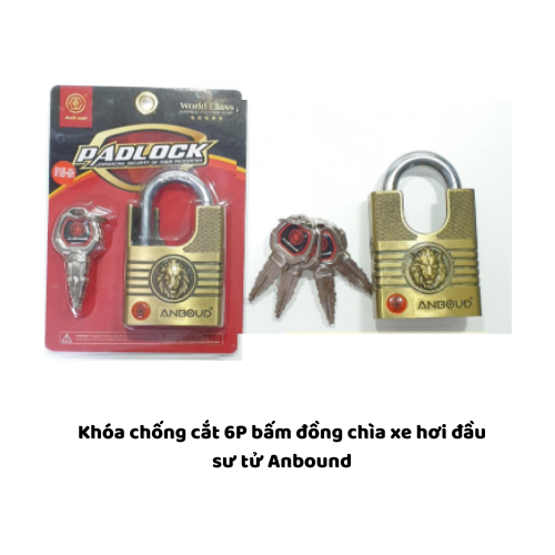 Khóa chống cắt 6P bấm đồng chìa xe hơi đầu sư tử Anbound