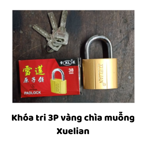 Khóa tri 3P vàng chìa muỗng Xuelian