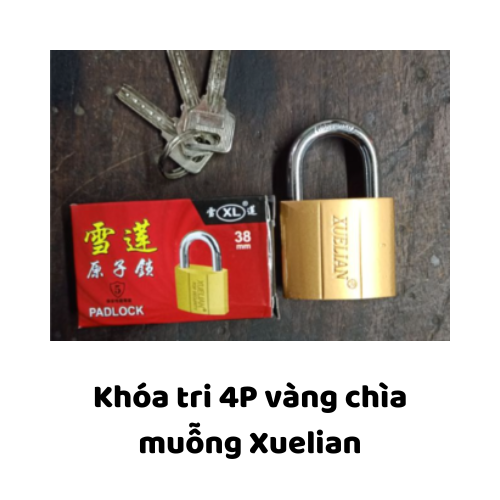 Khóa tri 4P vàng chìa muỗng Xuelian