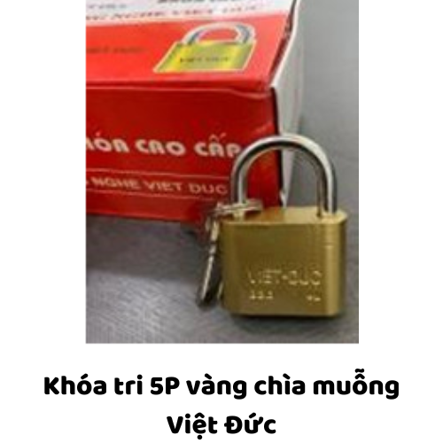 Khóa tri 5P vàng chìa muỗng Việt Đức