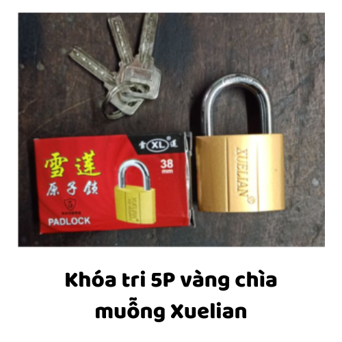 Khóa tri 5P vàng chìa muỗng Xuelian