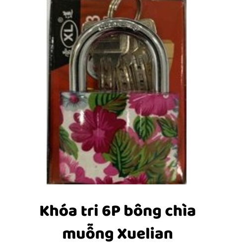 Khóa tri 6P bông chìa muỗng Xuelian