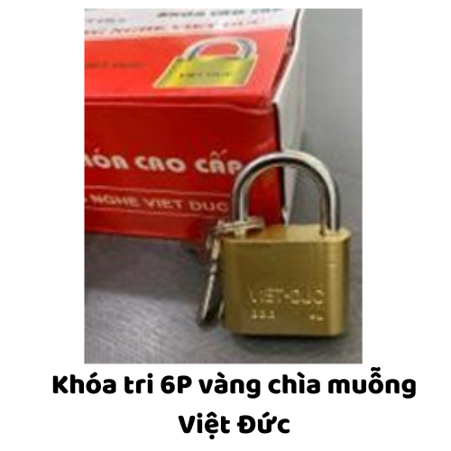 Khóa tri 6P vàng chìa muỗng Việt Đức