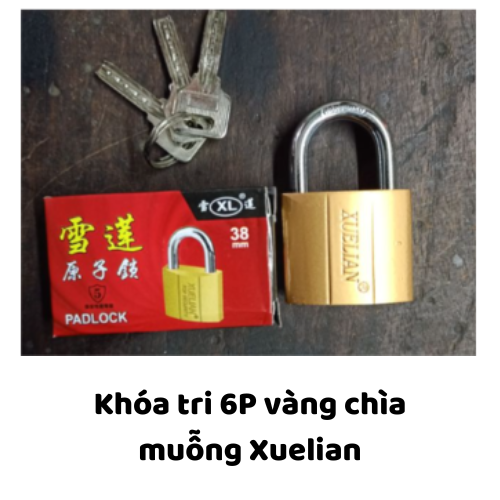 Khóa tri 6P vàng chìa muỗng Xuelian