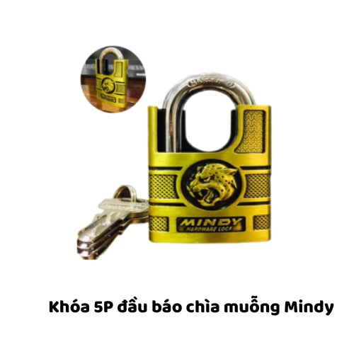 Khóa 5P đầu báo chìa muỗng Mindy